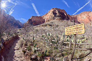 A sign along the Bright Angel Trail in Grand Canyon warning that the plants in this area are very fragile, Grand Canyon National Park, UNESCO World Heritage Site, Arizona, United States of America, North America