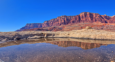 A pool of water reflecting the summit of Johnson Point below Vermilion Cliffs, Glen Canyon Recreation Area, Arizona, United States of America, North America