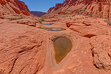 Waterholes in Ferry Swale Canyon near Page, Arizona, United States of America, North America