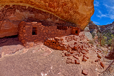 The Horse Collar Ruins located between the Sipapu Arch Bridge and the Kachina Arch Bridge, Natural Bridges National Monument, Utah, United States of America, North America