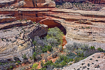 The Kachina Bridge, named for the Hopi Kachina dancers, Natural Bridges National Monument, Utah, United States of America, North America