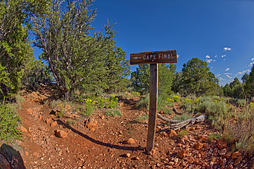 A sign posted by the Park Service pointing the way to Cape Final on the North Rim of Grand Canyon, Arizona, United States of America, North America