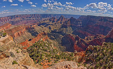 View of Grand Canyon from the south cliffs of Cape Final on the North Rim with Unkar Creek below and right of centre the pointed peak of Freya's Castle, Grand Canyon National Park, UNESCO World Heritage Site, Arizona, United States of America, North America