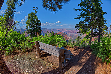 A bench overlooking Grand Canyon North Rim from the Vista Encantada Picnic area, Grand Canyon National Park, UNESCO World Heritage Site, Arizona, United States of America, North America