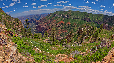 Point Imperial in Grand Canyon North Rim viewed from the summit of Saddle Mountain, Grand Canyon National Park, UNESCO World Heritage Site, Arizona, United States of America, North America