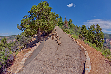 The junction where the Transept Trail meets the Bright Angel Point Trail on the North Rim of Grand Canyon, Grand Canyon National Park, UNESCO World Heritage Site, Arizona, United States of America, North America