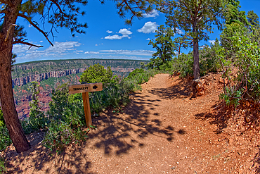 The Transept Trail sign where it branches off from the Bright Angel Point Trail on the North Rim of Grand Canyon, Grand Canyon National Park, UNESCO World Heritage Site, Arizona, United States of America, North America