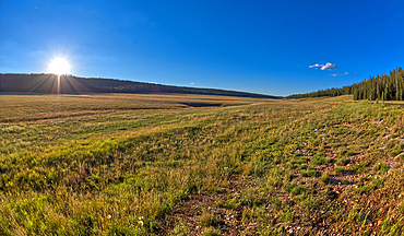 Pleasant Valley near sunset in the Kaibab National Forest just north of Grand Canyon North Rim, Arizona, United States of America, North America