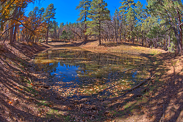 One of three ponds called the Hearst Tanks, on Grand Canyon South Rim, located one mile east of Grandview Point, Grand Canyon National Park, UNESCO World Heritage Site, Arizona, United States of America, North America