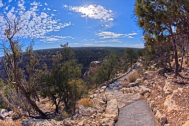 The paved rim trail along the cliffs of Grand Canyon South Rim between the village and Trailview Overlook Vista, Grand Canyon, UNESCO World Heritage Site, Arizona, United States of America, North America