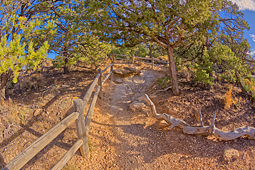 The rim trail at Grand Canyon heading east toward Powell Point from Hopi Point, Grand Canyon, UNESCO World Heritage Site, Arizona, United States of America, North America