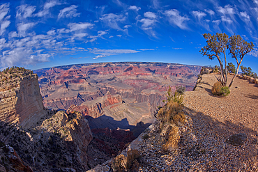 A view of Grand Canyon from the west side of Maricopa Point, Grand Canyon, UNESCO World Heritage Site, Arizona, United States of America, North America