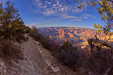 A dirt section of the rim trail between Hopi Point and Mohave Point, Grand Canyon, UNESCO World Heritage Site, Arizona, United States of America, North America