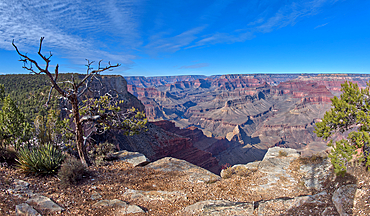 The cliffs of Grand Canyon west of Monument Creek Vista, Grand Canyon National Park, UNESCO World Heritage Site, Arizona, United States of America, North America