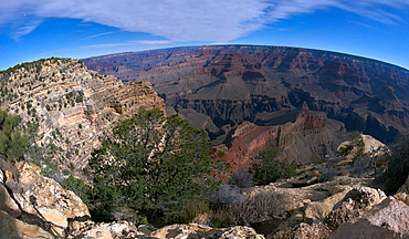 Grand Canyon viewed from Powell Point under moonlight, Grand Canyon National Park, UNESCO World Heritage Site, Arizona, United States of America, North America