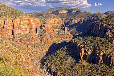 The Salt River Canyon north of Globe, Arizona, United States of America, North America