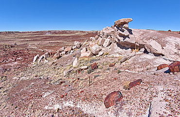 A scenic overlook on the west side of the Giant Logs Trail at Petrified Forest National Park, Arizona, United States of America, North America