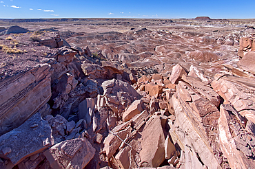 Purple badlands of bentonite near Hamilili Point on the south end of Petrified Forest National Park, Arizona, United States of America, North America