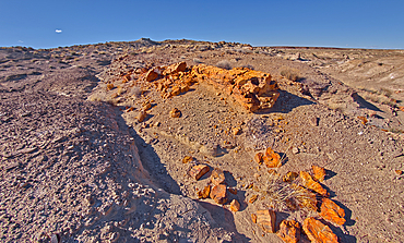 A petrified tree log that has shattered over time, located on a mesa near Hamilili Point on the south end of Petrified Forest National Park, Arizona, United States of America, North America