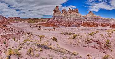 Tall hoodoo towers in the valley below Blue Mesa in Petrified Forest National Park, Arizona, United States of America, North America