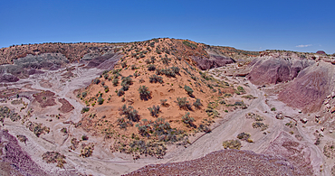 A sloping red sand dune above Hamilili Wash in Petrified Forest National Park, Arizona, United States of America, North America