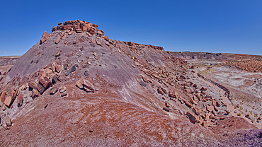 Crystal Mesa above Crystal Creek west of Hamilili Point in Petrified Forest National Park, Arizona, United States of America, North America