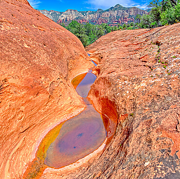 Sacred Pools of Hog Heaven, sandstone bowls of captured rainwater along the Hog Heaven Trail in Sedona, Arizona, United States of America, North America