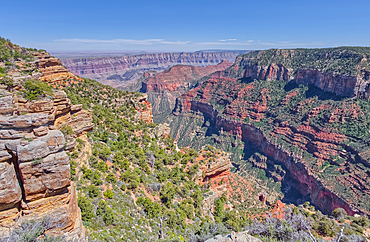 Cliff views from the edge of Naji Point on the North Rim of Grand Canyon, with Cape Final in the distance, Grand Canyon National Park, UNESCO World Heritage Site, Arizona, United States of America, North America