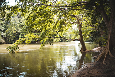 Sunlight on the lake at Udawalawe National Park, Sri Lanka, Asia