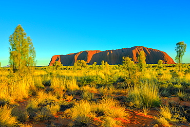 Beautiful landscape of huge Ayers Rock (Uluru) monolith from Talinguru Nyakunytjaku Sunrise viewing area in Uluru-Kata Tjuta National Park, UNESCO World Heritage Site, Outback, Northern Territory, Australia, Pacific