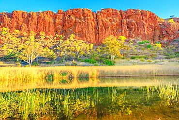 Scenic red sandstone wall and bush vegetation reflected in waterhole, Glen Helen Gorge at West MacDonnell Ranges, Central Australian Outback along Red Centre Way, Northern Territory, Australia, Pacific