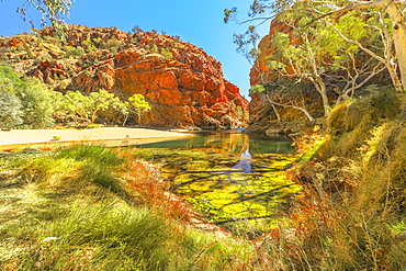 Panoramic view of Ellery Creek Big Hole waterhole in West MacDonnell Ranges surrounded by red cliffs and bush outback vegetation, Northern Territory, Central Australia, Australia, Pacific