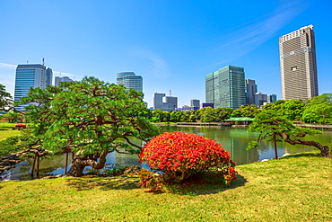 Hamarikyu (Hama Rikyu) Gardens, Chuo District, Tokyo, Japan, Asia