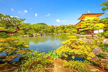 Kinkaku-ji (Golden Pavilion) (Rokuon-ji), Zen Buddhist temple, reflected in the lake surrounded by a scenic park, UNESCO World Heritage Site, Kyoto, Japan, Asia