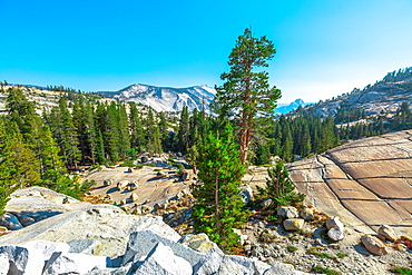 Panorama of Olmsted Point, off Tioga Pass Road in Yosemite National Park, UNESCO World Heritage Site, California, United States of America, North America