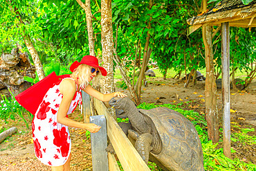 Blonde female in red sun hat, stroking a turtle, Turtle Sanctuary, Curieuse, Nature Reserve, Seychelles, Indian Ocean, Africa