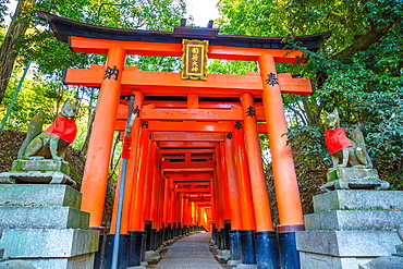 Thousand vermilion torii gates of the Shinto sanctuary of Fushimi Inari Taisha, south of Kyoto, Japan, Asia