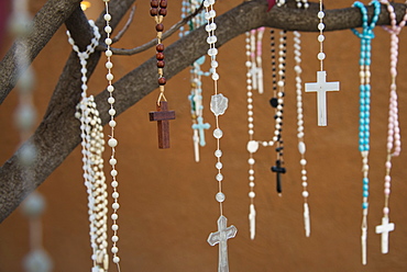 Rosaries left by worshippers, hanging from a tree outside a church in Santa Fe, New Mexico, United States of America, North America