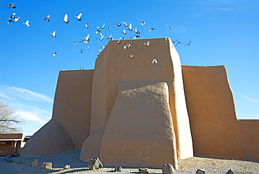 Flock of pigeons flying from the historic adobe San Francisco de Asis church in Taos, New Mexico, United States of America, North America