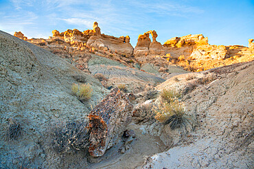 Bisti/De-Na-Zin Wilderness in New Mexico, United States of America, North America