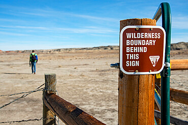 Bisti/De-Na-Zin Wilderness in New Mexico, United States of America, North America