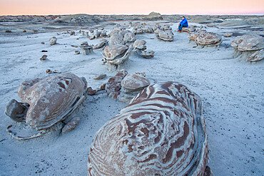 Exploring the cracked egg sandstone formations of Bisti/De-Na-Zin Wilderness at sunset, New Mexico, United States of America, North America