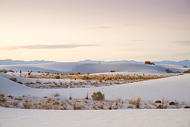 White Sands National Park near Alamogordo, New Mexico, United States of America, North America