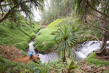 Man crouched by a waterfall on Kauai, Hawaii, United States of America, North America