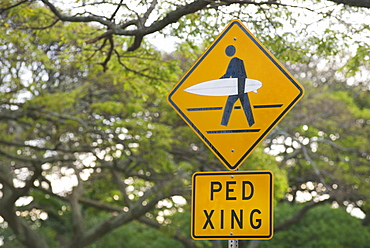 Pedestrian crossing sign modified for surfers on Kauai, Hawaii, United States of America, North America