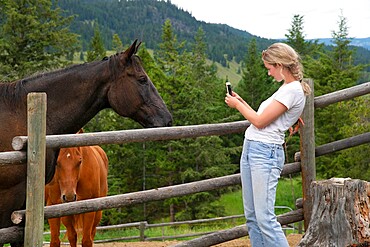 A trail rider takes a photo of a horse with her smartphone back at the corral, Merritt, British Columbia, Canada, North America