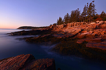 Seashore, Maine, New England, United States of America, North America