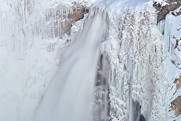 Lower Yellowstone Falls, Yellowstone National Park, Wyoming, United States of America, North America