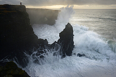 Saxholsbjarg cliff being hit by large waves, Iceland, Polar Regions