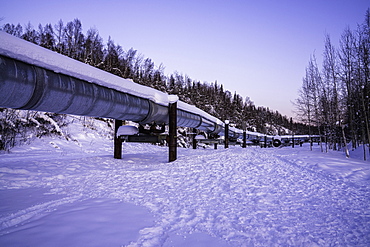 Trans-Alaska Pipeline System, Fairbanks, Alaska, United States of America, North America